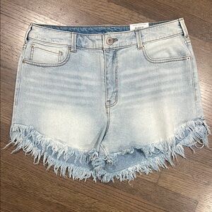 Stylish Light Blue Frayed Jean Shorts